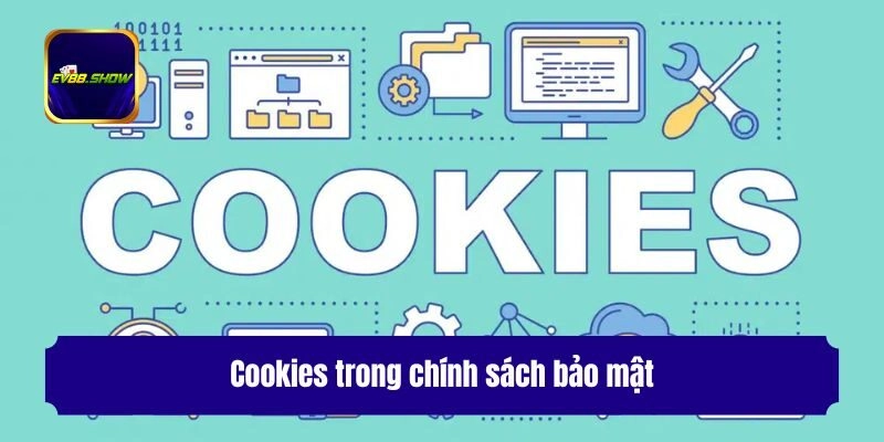 Cookies trong chính sách bảo mật